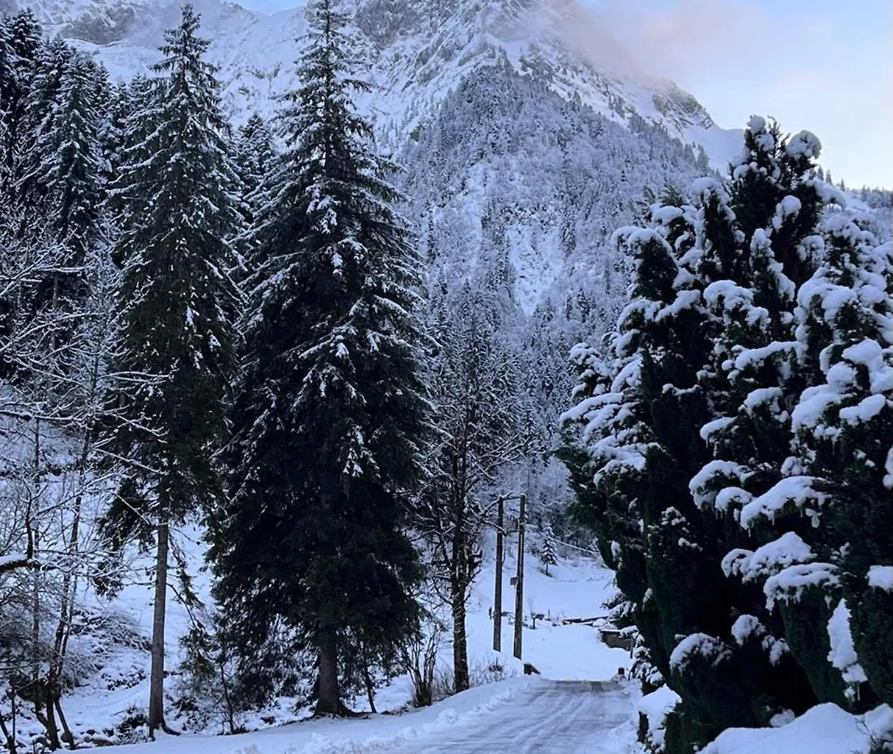 Chalet Le Nutshell - Au Calme - Aravistour تون فرنسا